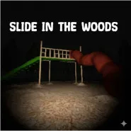 Slide in the Woods