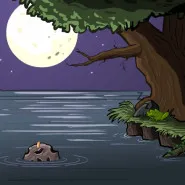 The Visitor